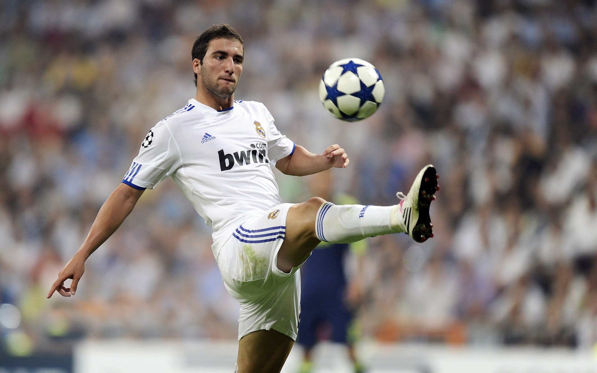 冠军球队球员携手城市公益植树，共塑绿色未来